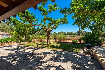 Finca Sa Cova Nova: Sa Cova Nova