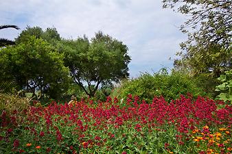 Finca Es Pla de Llodra: Ansicht der Finca