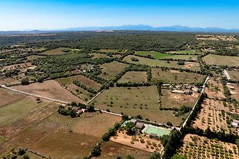 Finca Sa Cova Nova: Sa Cova Nova