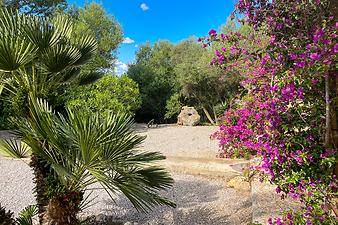 Finca Es Coscois: Es Coscois Garten