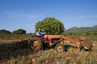 Finca Es Rafal Roig: Der Traktor