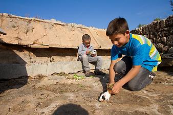 Finca Es Rafal Roig: Meerschweinchen