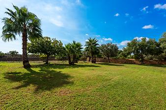 Finca Ca S' Amitger de son Forteza: grüner Rasen auf der Finca