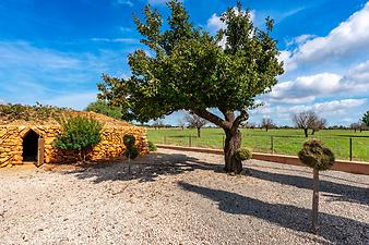 Finca Ca S' Amitger de son Forteza: Steinhaus unter Denkmalschutz