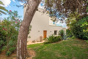 Finca Villa Tortuga: _DSC3474-bearbeitet.jpg