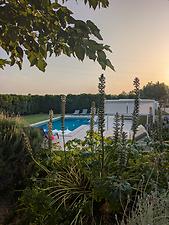 Finca Son Perot: Kundenbild
