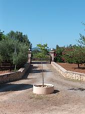 Finca Sa Creueta: Kundenbild