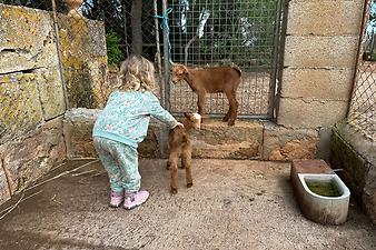 Finca Son Cifre Nou: Kundenbild