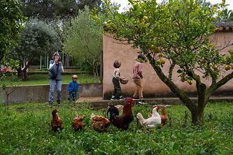 Finca Son Segi: Kundenbild