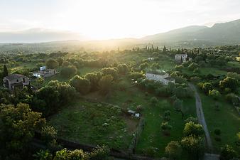 Finca Son Segi: Kundenbild