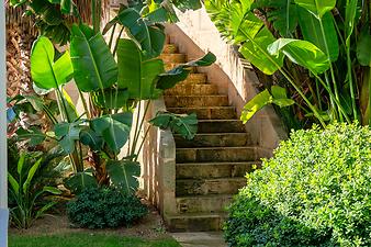 Finca Villa Tortuga: Villa Tortuga