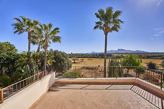 Finca Can Pere Rei: Dachterrasse