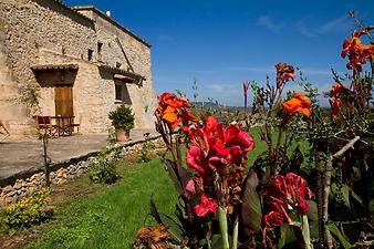 Finca Sa Franquesa Vella: Herbstblumen
