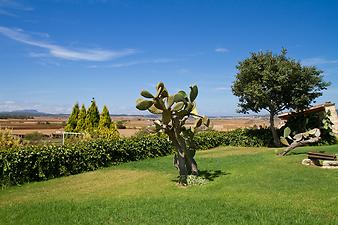 Finca Sa Franquesa Vella: Fußballplatz