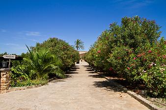 Finca Sa Franquesa Vella: Willkommen auf Sa Franquesa Vella