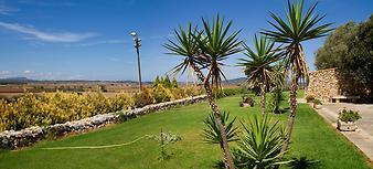 Finca Sa Franquesa Vella: Weitblick ins Land