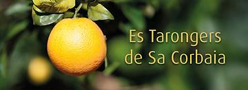 Zurück zur Startseite von Finca Es Tarongers de Sa Corbaia