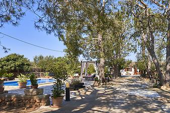 Finca Son Mulet: Weg zur Finca