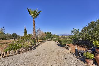 Finca Son Mulet: franciscogarvi.com_FGT4667.jpg