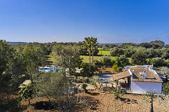 Finca Son Mulet: Son Mulet