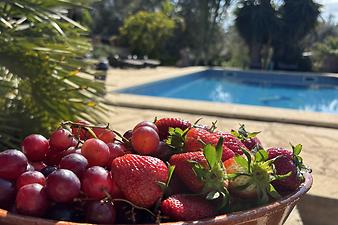 Finca Sa Coma: Kundenbild