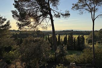 Finca Sa Coma: Kundenbild