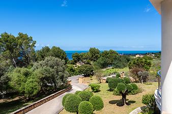 Finca Altavista: Blick auf die Einfahrt