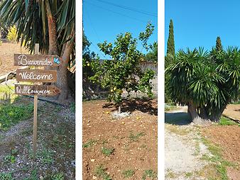 Finca Cas Sineuer: Willkommen Garten