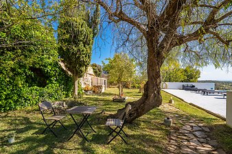 Finca Cas Pages des Pujol: Gartenimpressionen