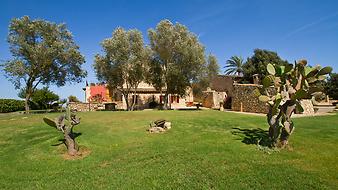Finca Sa Franquesa Vella: Garten der Finca