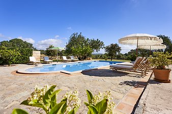 Finca Vistalegre Nou: Poolterrasse
