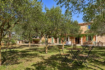 Finca Vistalegre Nou: Rasenfläche zum Verweilen