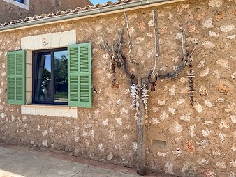 Finca Vistalegre Nou: Dekorierter Baum