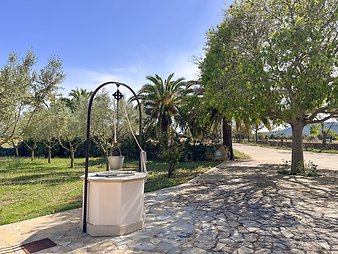 Finca Vistalegre Nou: Brunnen