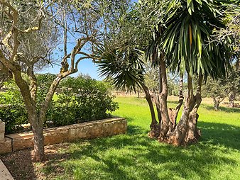 Finca Vistalegre Nou: Gartenimpressionen
