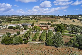 Finca Vistalegre Nou: franciscogarvi.comDJI_0319.jpg