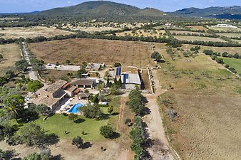 Finca Vistalegre Nou: franciscogarvi.comDJI_0327.jpg