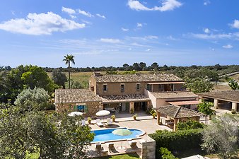 Finca Vistalegre Nou: franciscogarvi.comDJI_0329.jpg