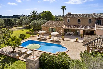 Finca Vistalegre Nou: franciscogarvi.comDJI_0331.jpg