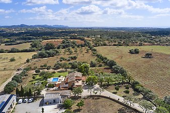 Finca Vistalegre Nou: franciscogarvi.comDJI_0336.jpg