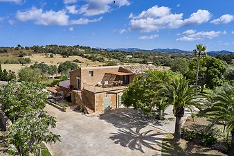 Finca Vistalegre Nou: franciscogarvi.comDJI_0339.jpg