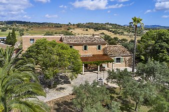 Finca Vistalegre Nou: franciscogarvi.comDJI_0341.jpg