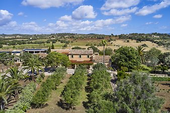 Finca Vistalegre Nou: franciscogarvi.comDJI_0318.jpg
