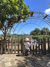 Finca Sa Gruta Vella: Kundenbild