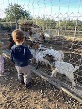 Finca Sa Gruta Vella: Kundenbild