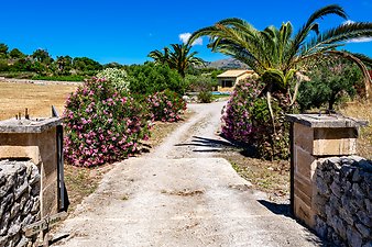Finca Sa Fonteta: Zufahrt zur Finca