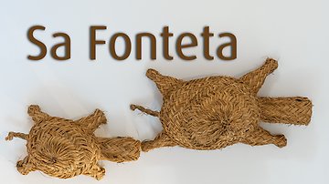 Zurück zur Startseite von Finca Sa Fonteta