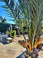 Finca Pepe: Kundenbild