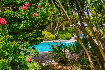 Finca Tres Pins: _DSC4157-bearbeitet.jpg