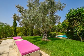 Finca Tres Pins: _DSC4159-bearbeitet.jpg